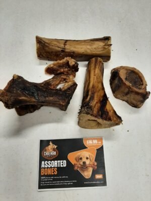 Assorted Bones